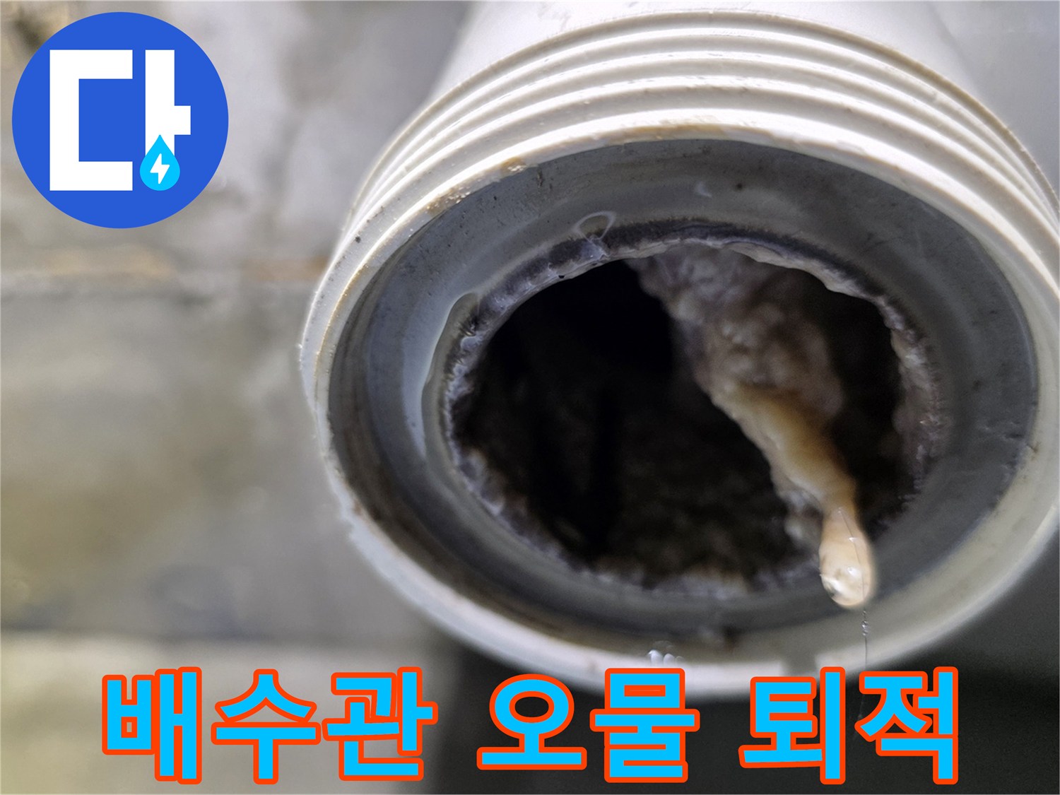 배관-입구에-뭉쳐있는-머리카락과-오물-덩어리