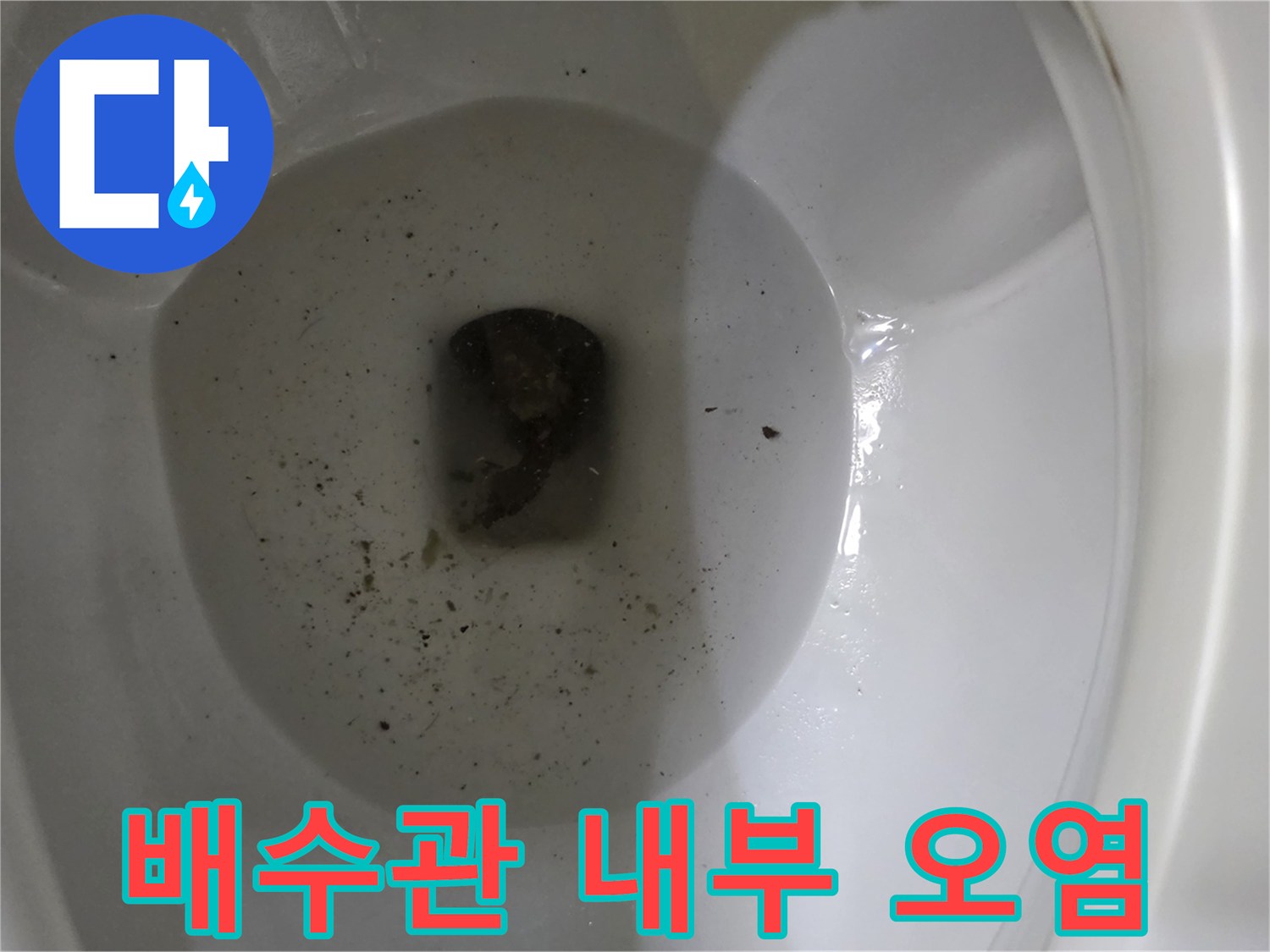 배수구-내부의-머리카락과-오물-퇴적물