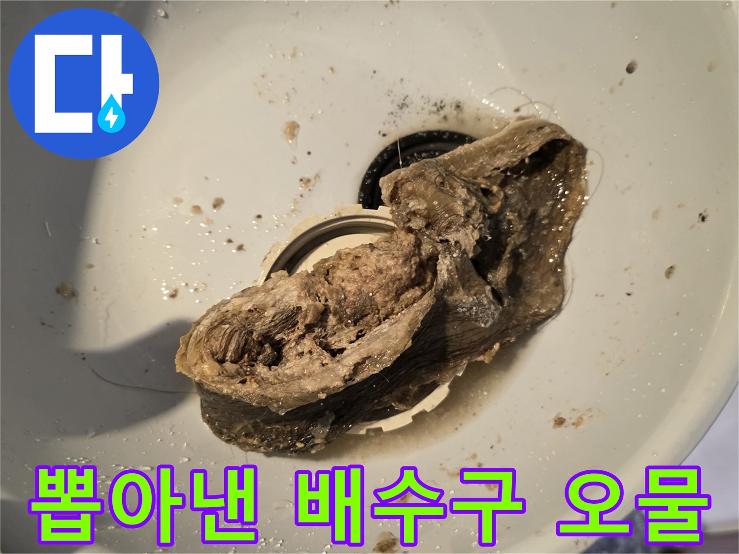 배수구-입구에서-확인된-머리카락-오염물-덩어리
