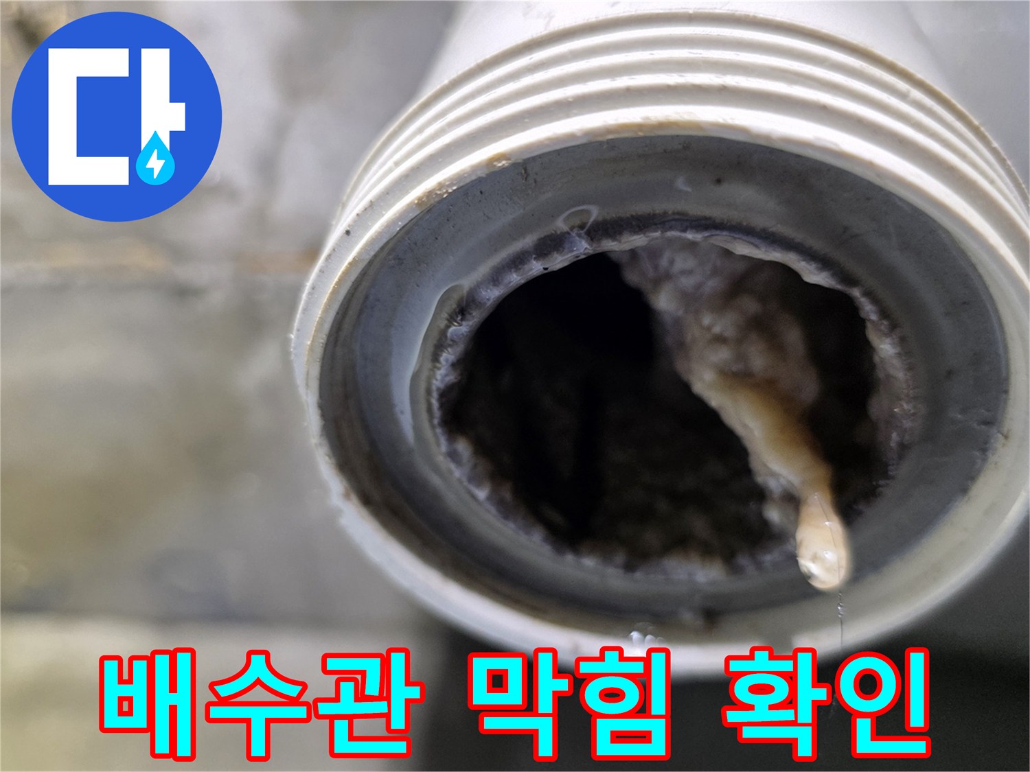 오물로 인해 꽉 막힌 배수관 내부 입구