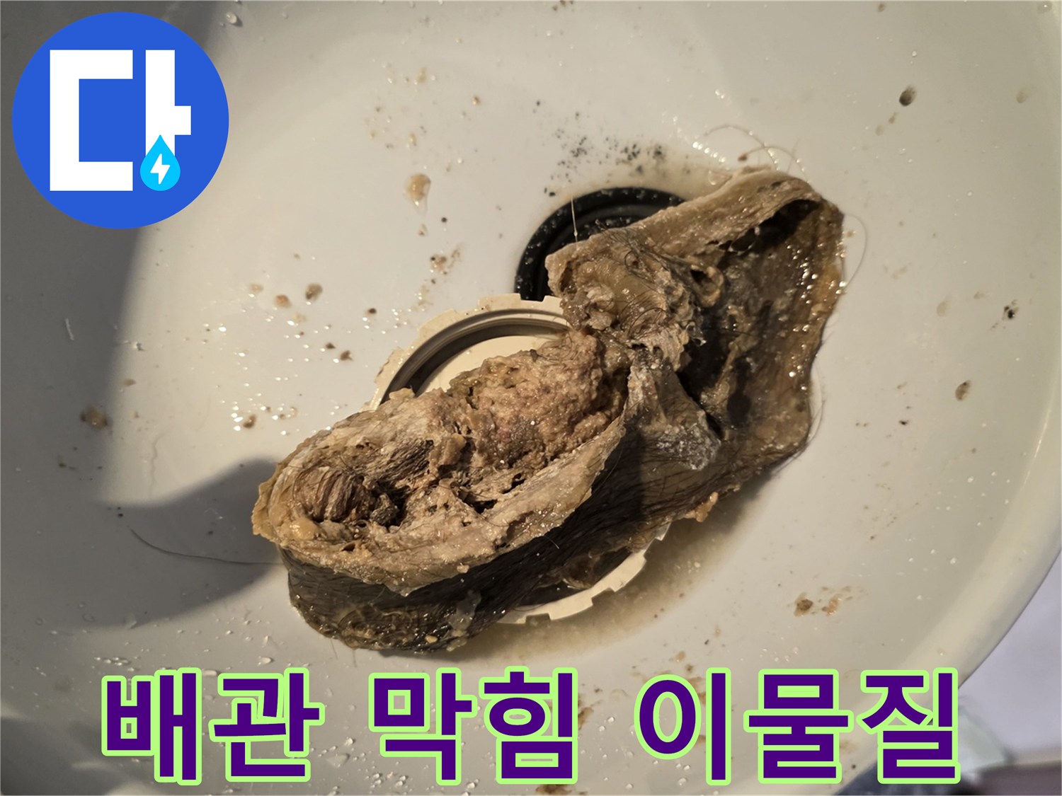 욕실-배수구-막힘을-유발한-머리카락-및-오물