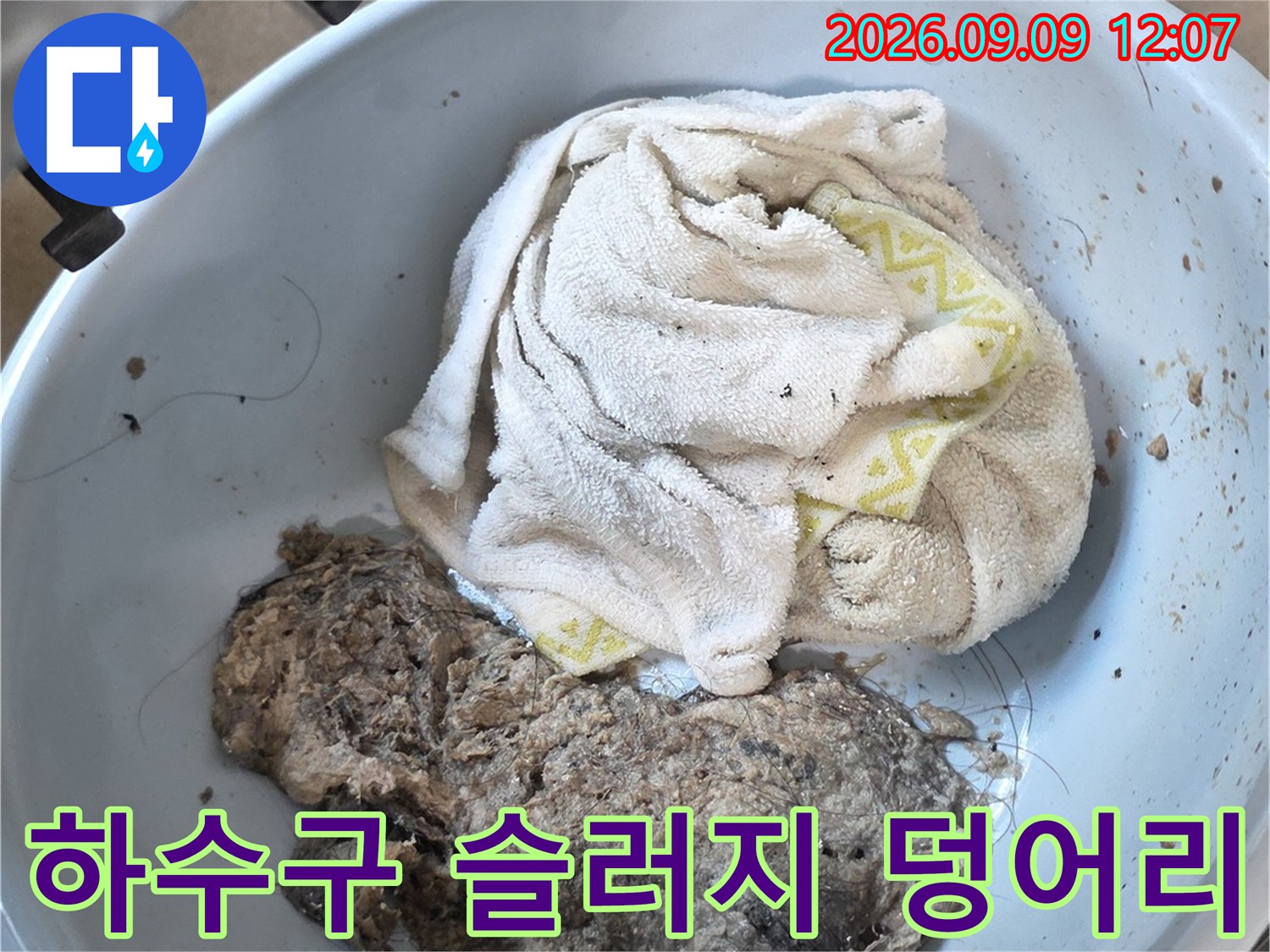 하수구 배관에서 뽑아낸 머리카락과 오염물