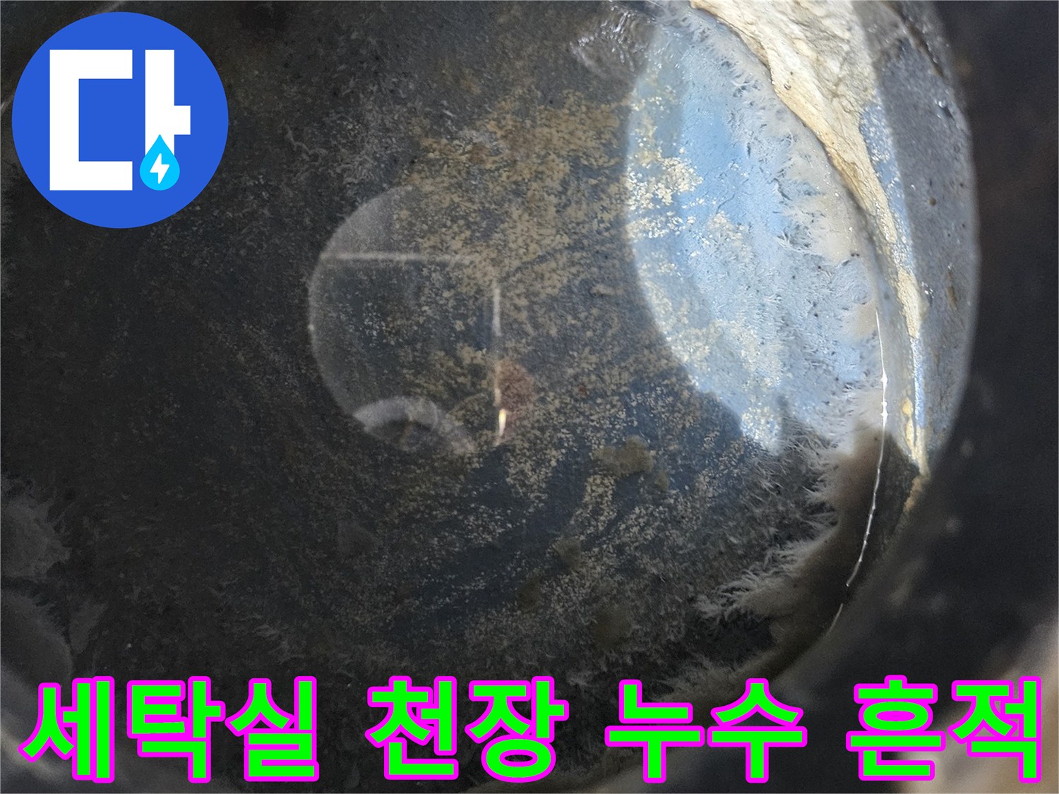 용인 처인구 세탁실-천장 부근에 발생한 물샘 흔적과 습기 상태