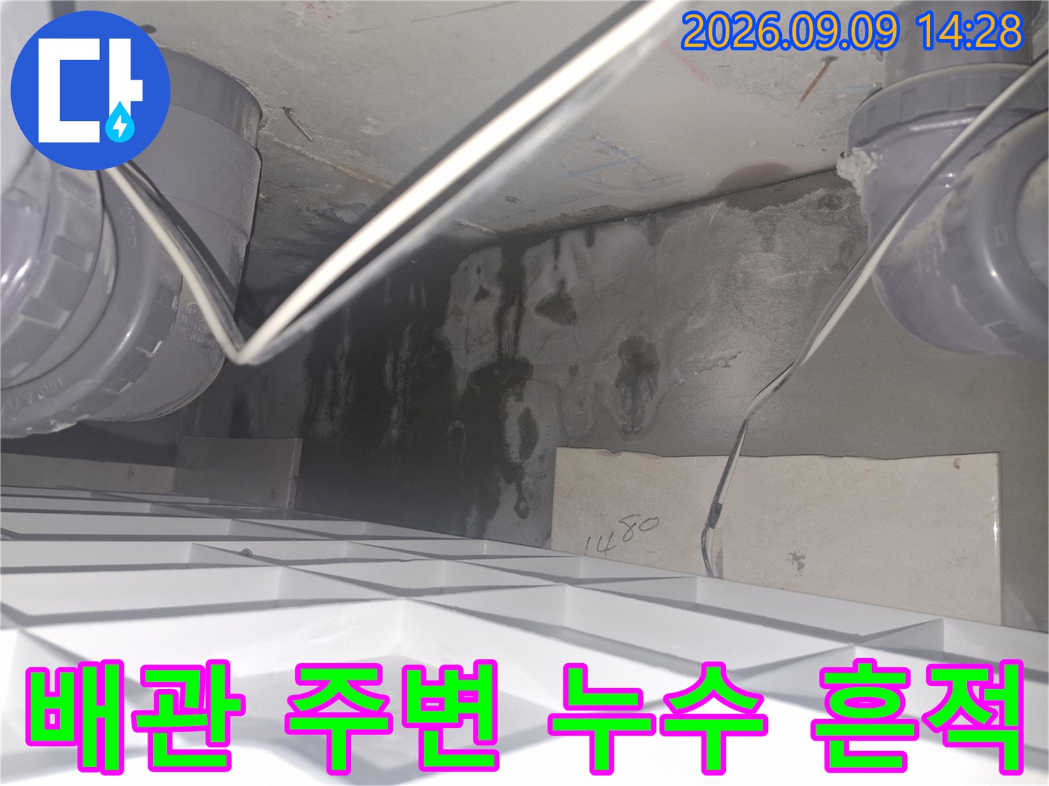 화장실 천장 배관 주위의 젖은 벽면과 어두운 얼룩