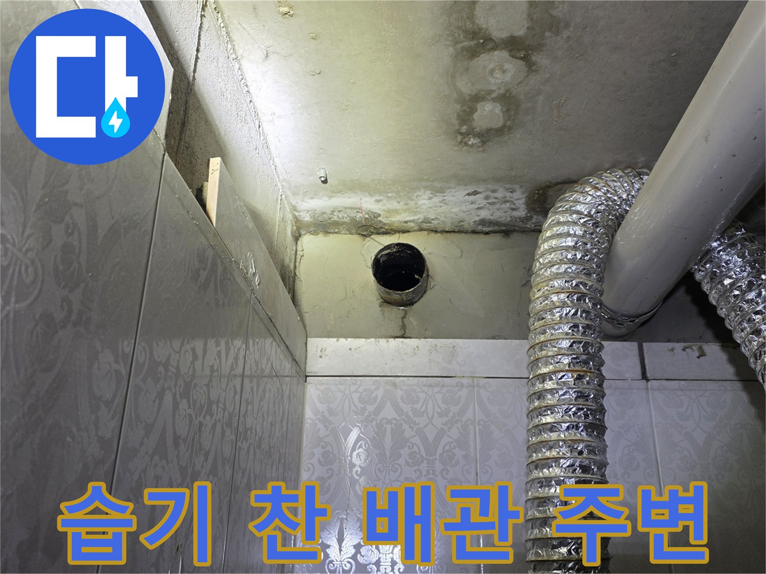 화장실-천장-배관-주변의-곰팡이와-얼룩