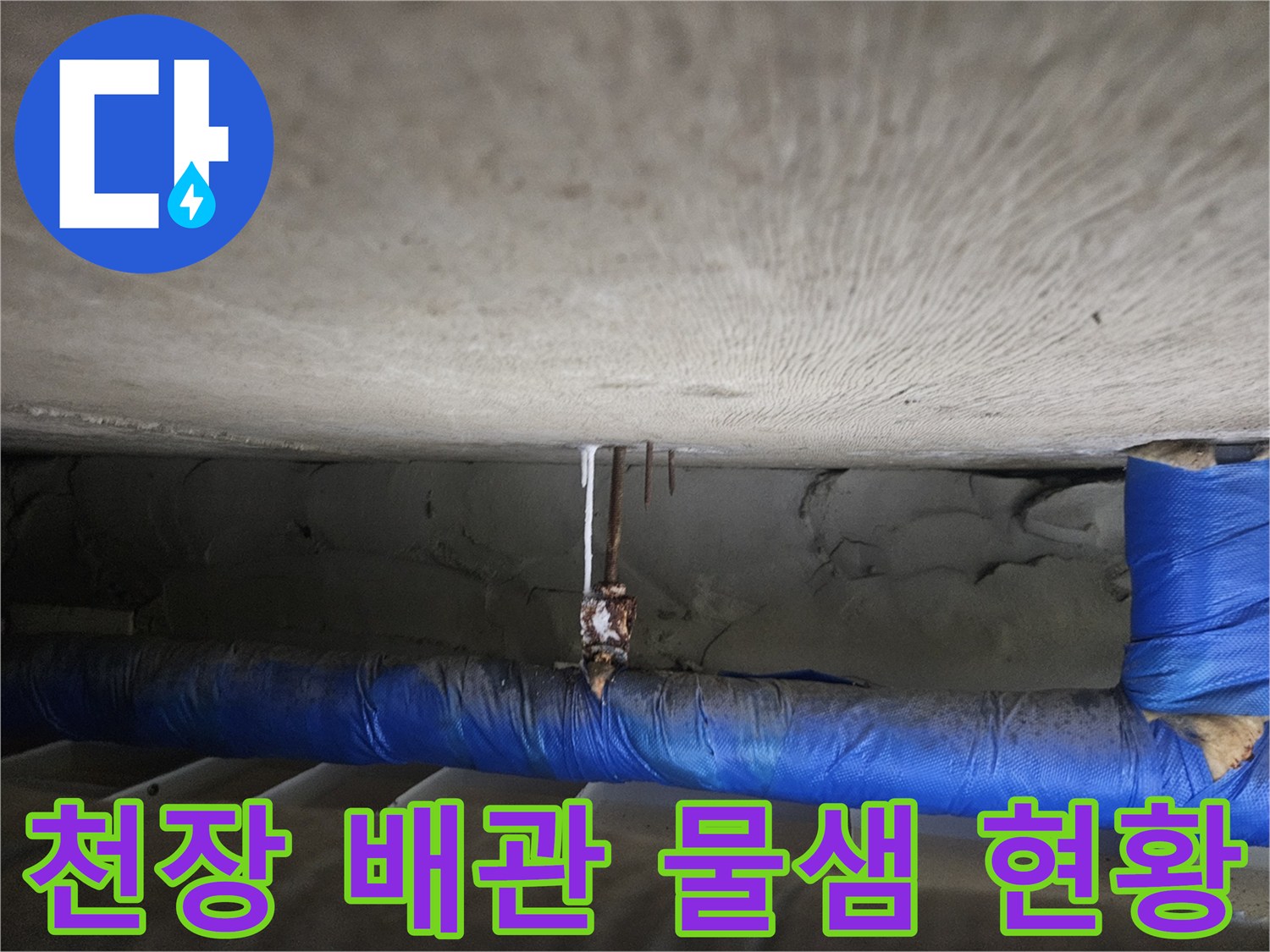 일산동구 장항동-아랫집 천장 배관 주변의 습기 및 오염 상태