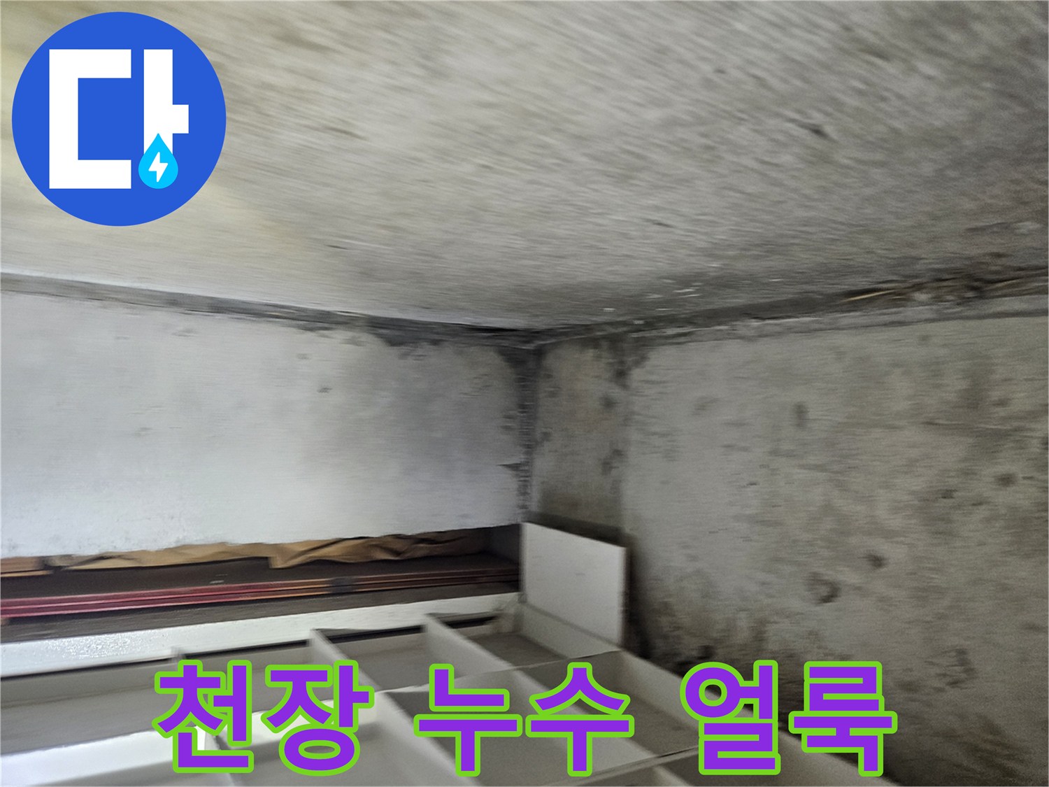 일산동구-장항동-화장실-천장-콘크리트-습기-및-오염-상태