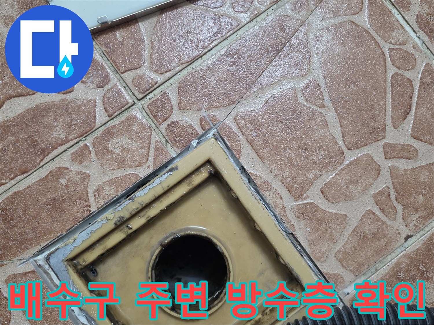 도봉구 쌍문동-화장실 배수구 유가 주변의 누수 원인을 파악하기 위해 탈거된 상태의 모습입니다.