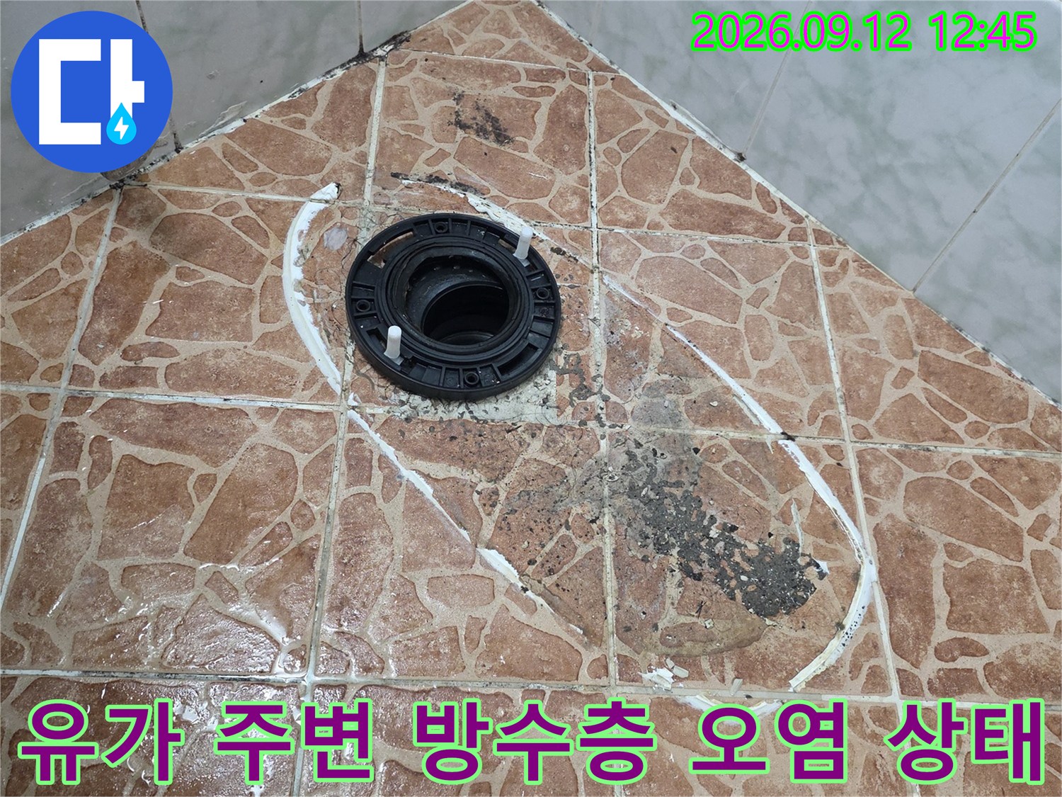 배수구 유가 주변에 물이 스며들어 타일이 변색된 모습입니다.
