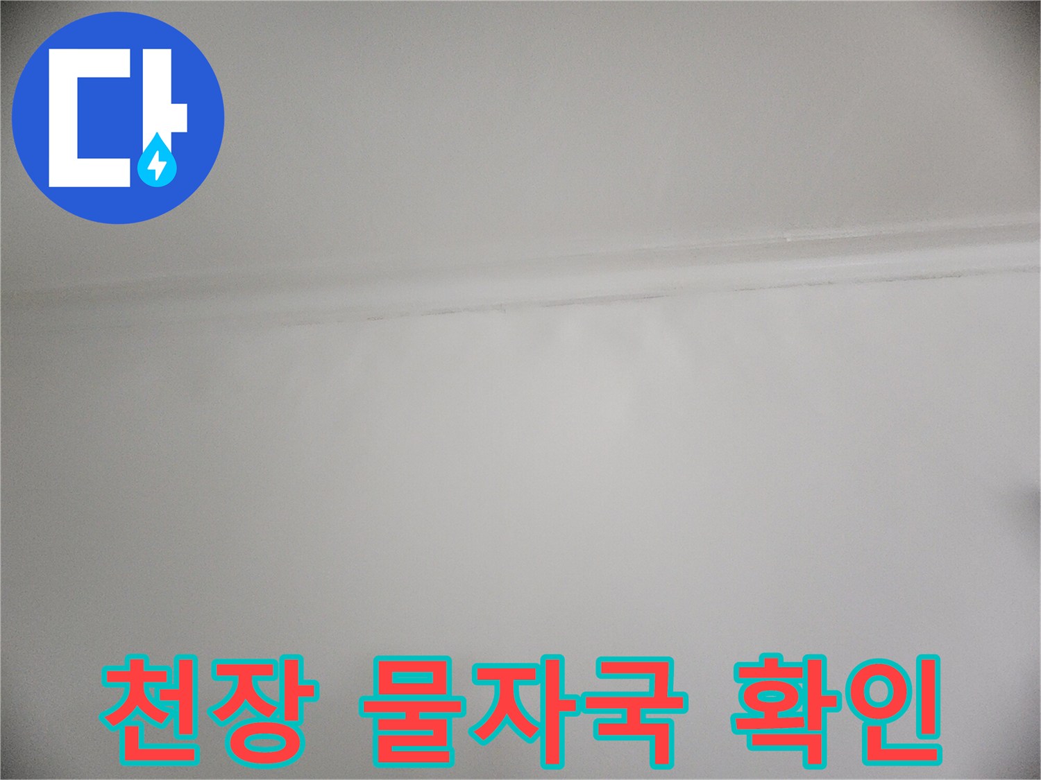 성동구 성수동 현장의 젖어있는 천장과 벽면 상태