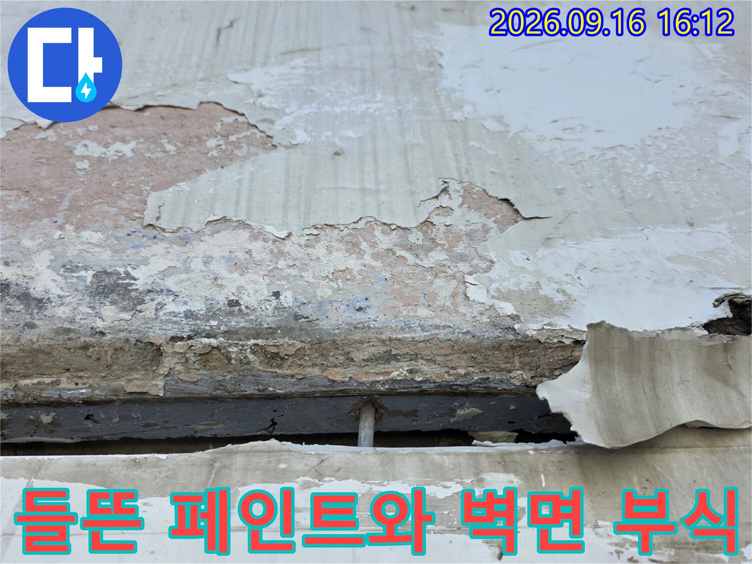 아파트 천장 마감재의 페인트가 벗겨지고 내부 콘크리트가 노출된 모습입니다.