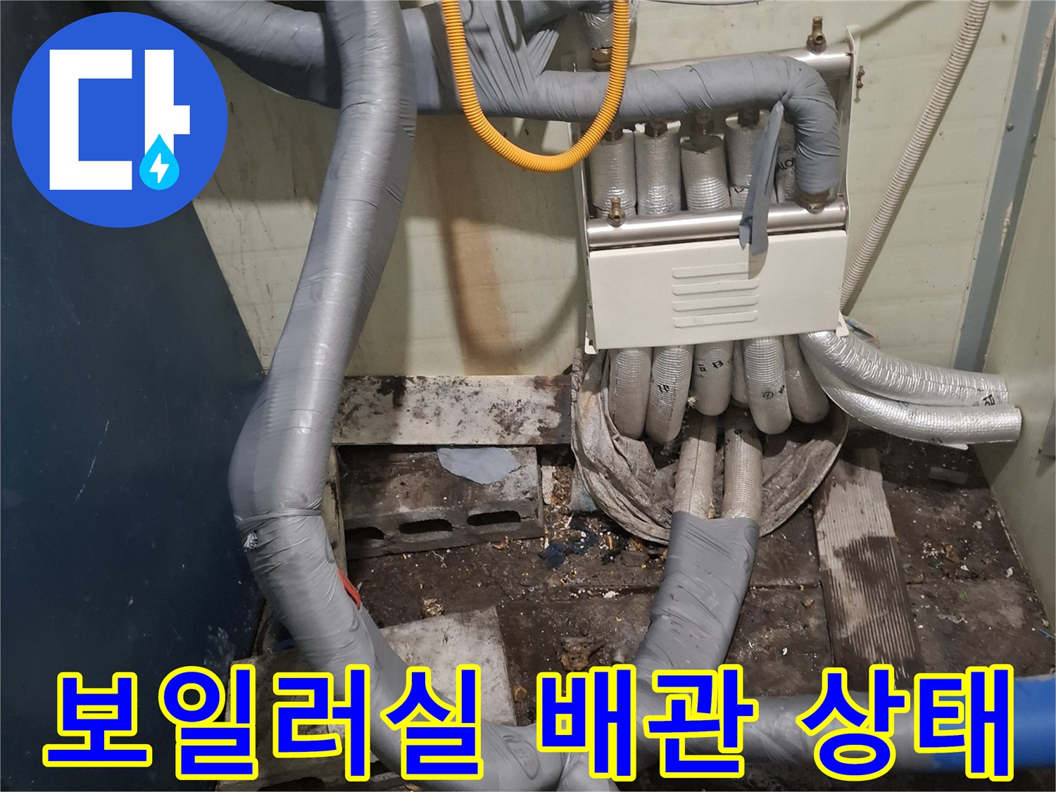 포천 영북면-보일러실 하단에 복잡하게 얽힌 배관과 분배기 모습