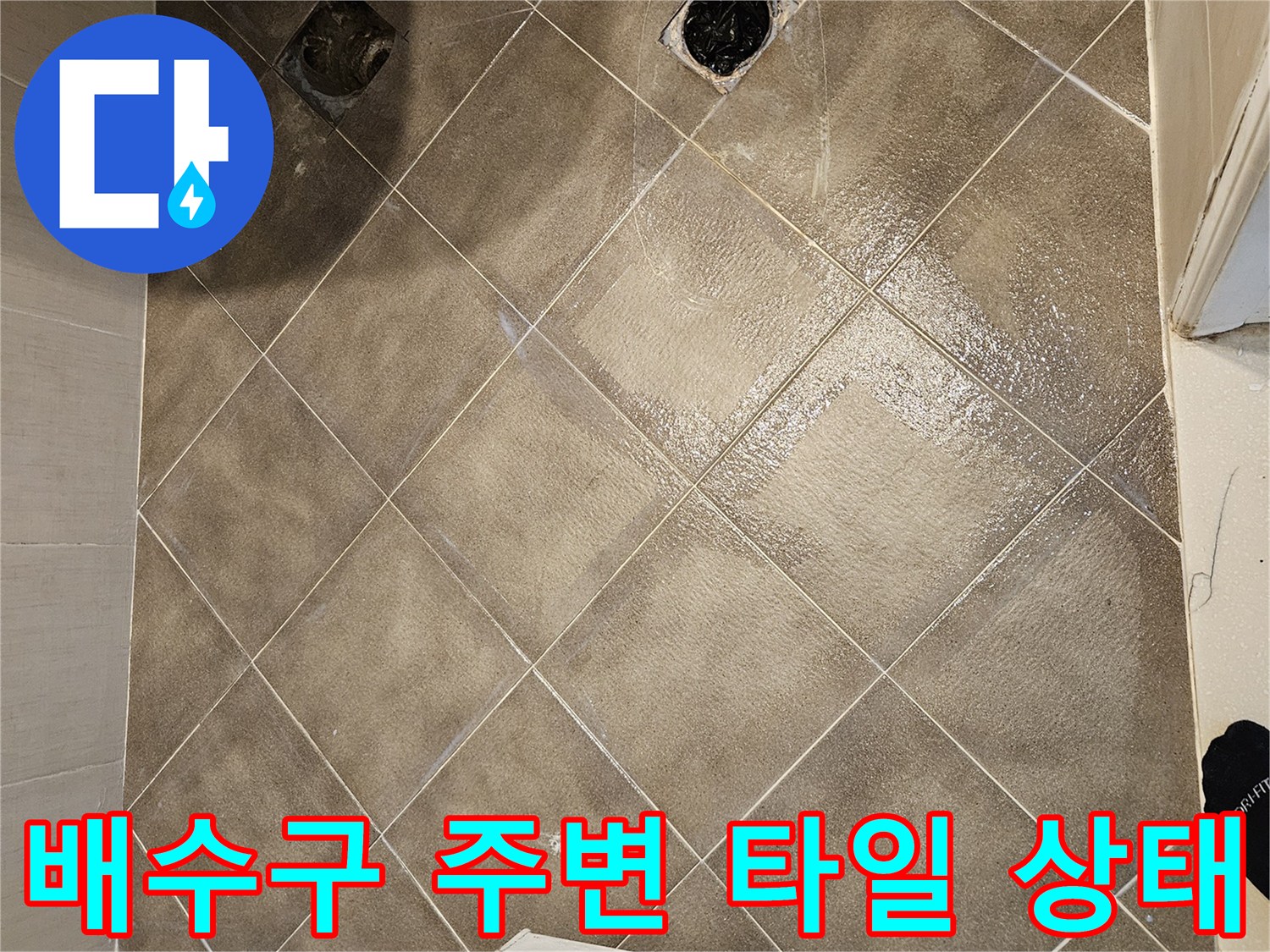 일산동구-욕실-배수구-유가-주변-누수-징후