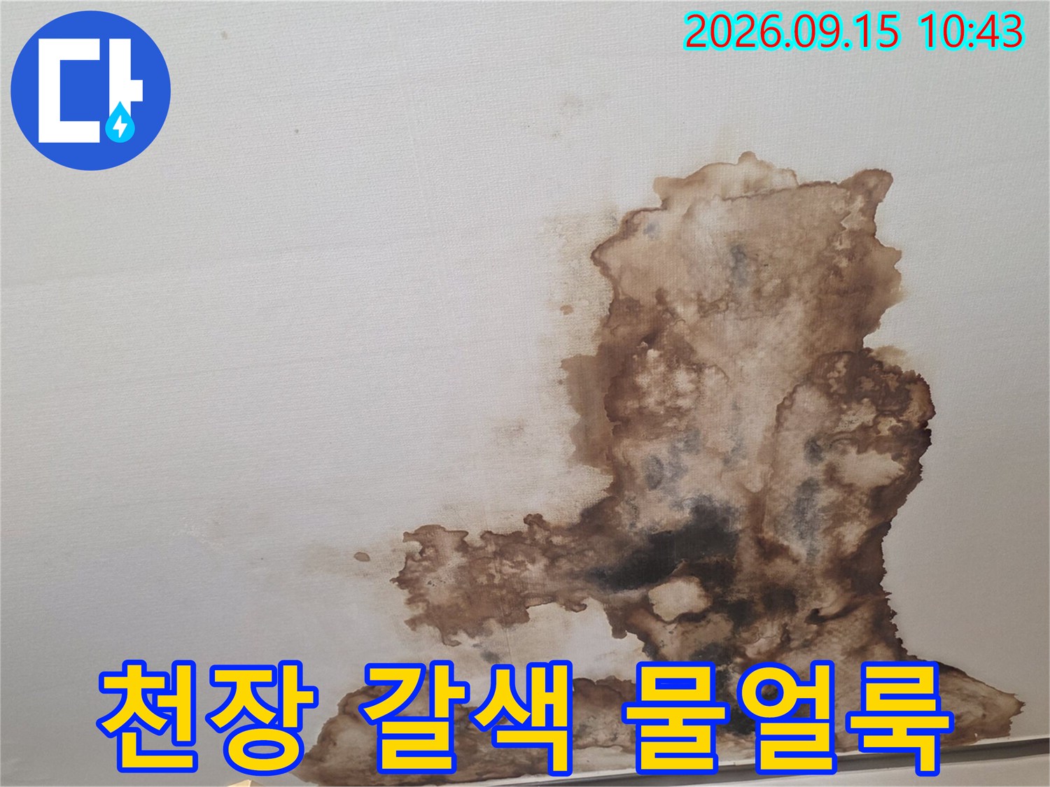 서초구 양재동 현장의 천장 도배지 갈색 누수 흔적
