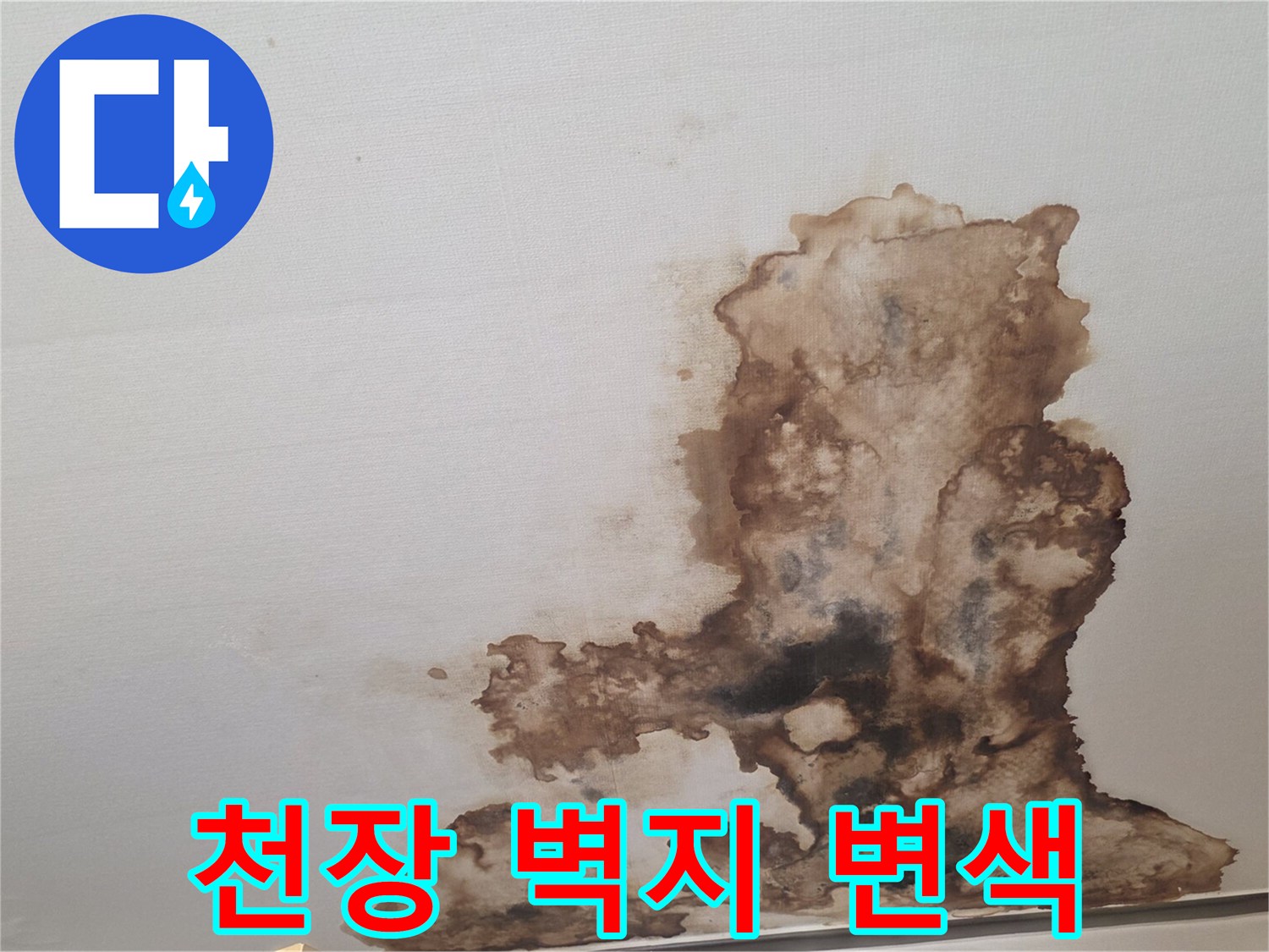 흰색 천장 마감재 위로 번져나간 갈색 누수 자국과 오염 부위