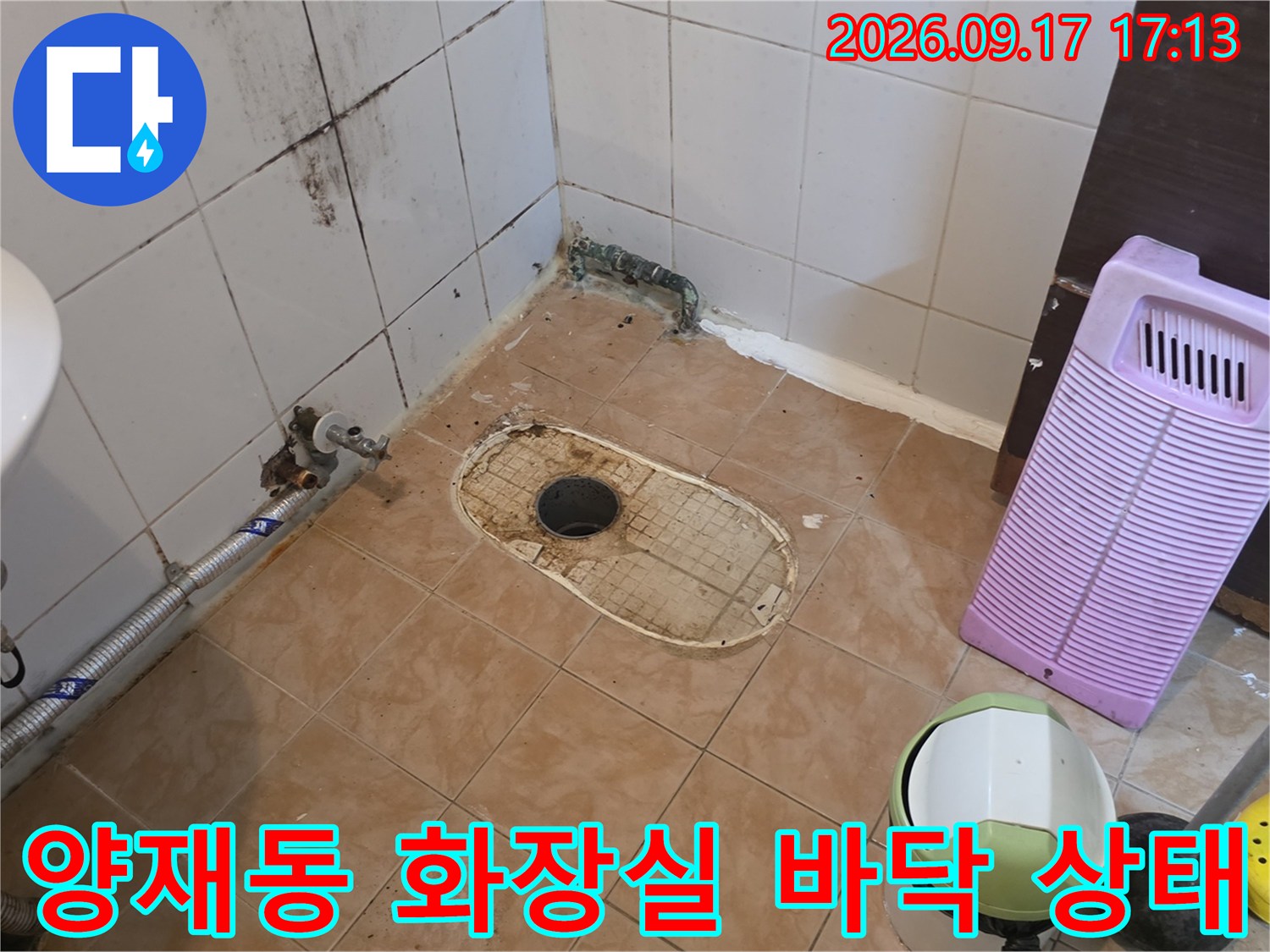 서초구 양재동-화장실 타일 벽면 곰팡이와 배수구 주변 습기 확인