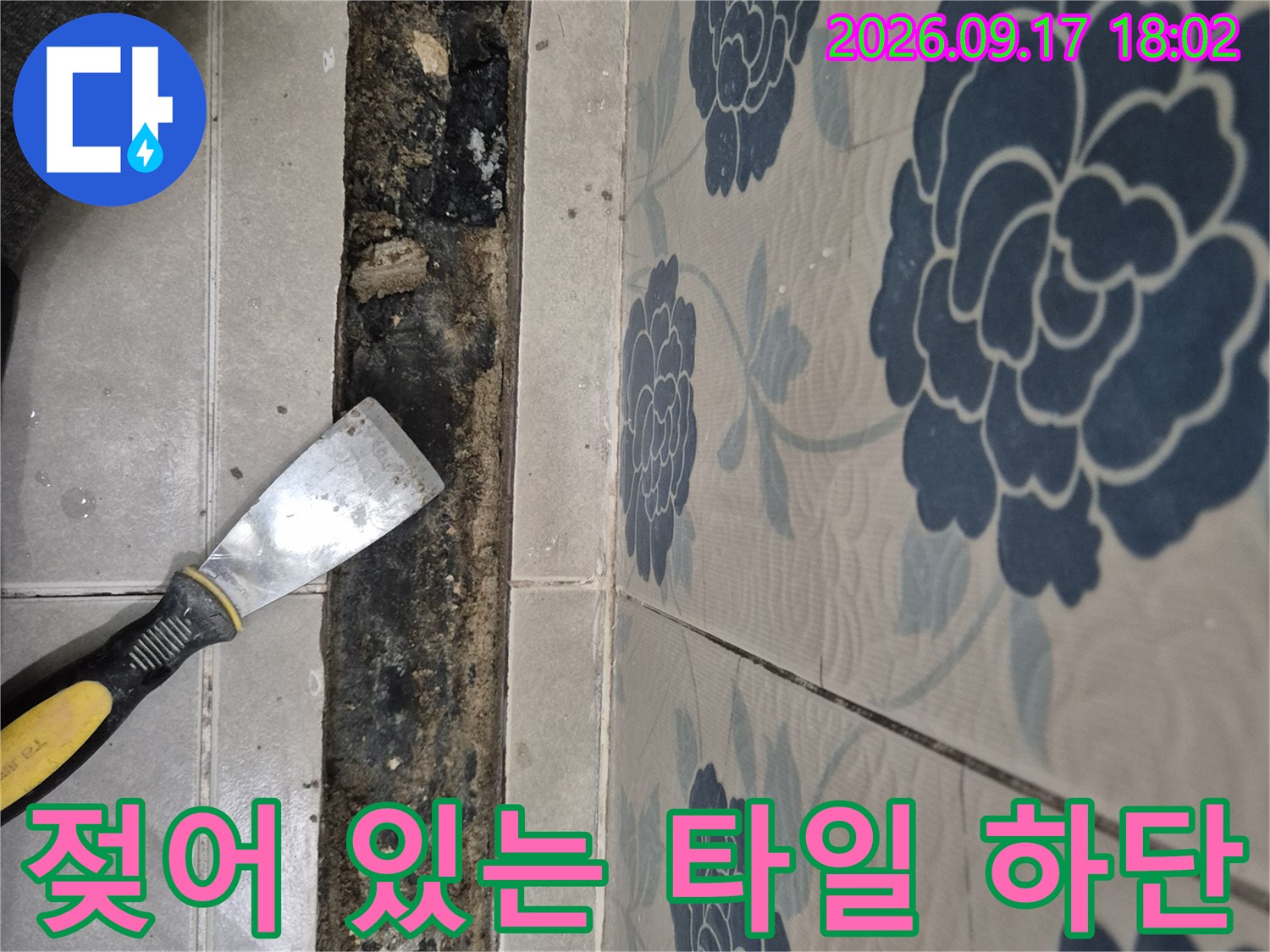 반송동 욕실 현장-타일 아래쪽의 습기 침투와 자재 오염 상태