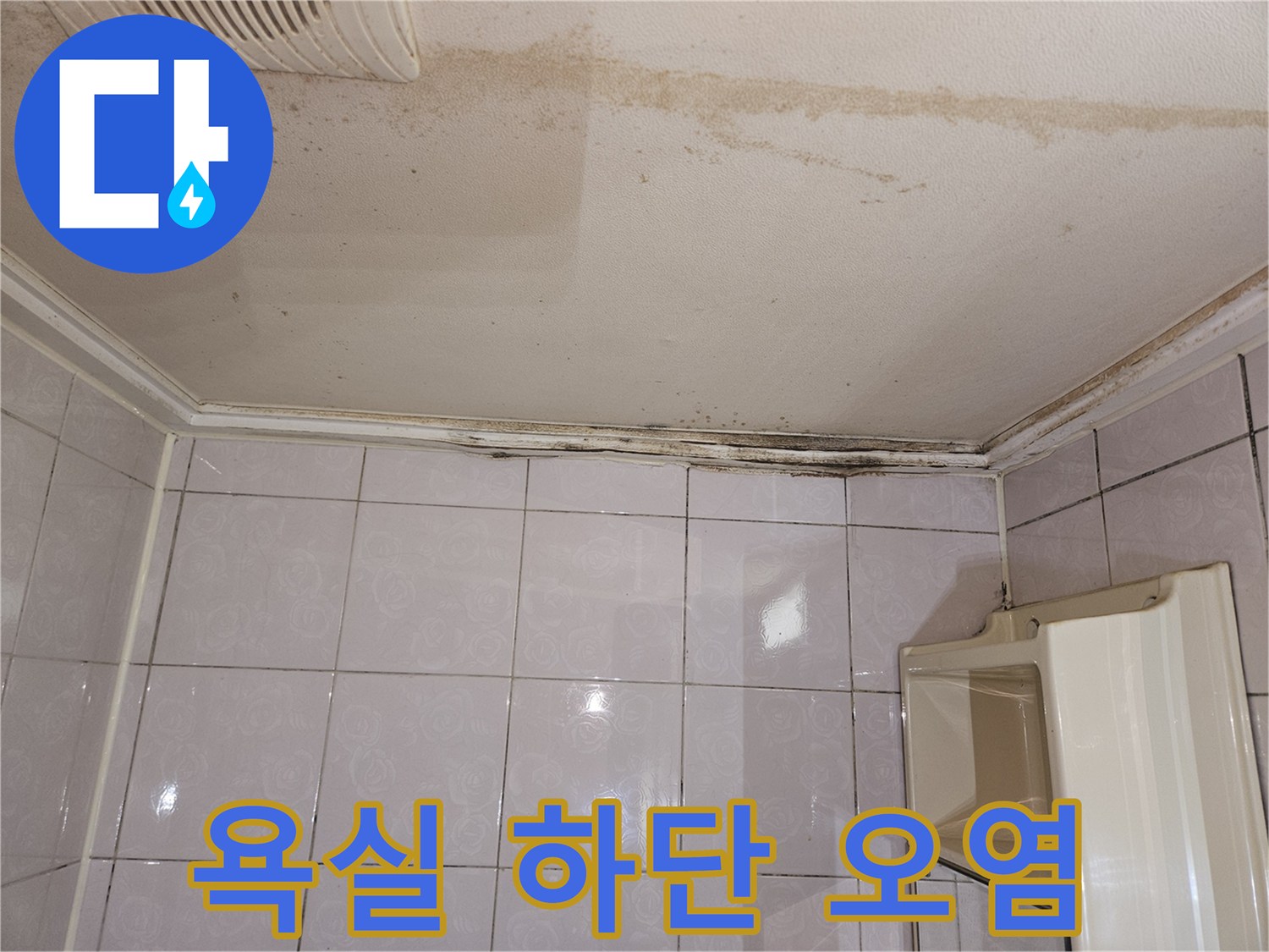 타일 하단 경계 부위의 습기 및 곰팡이 흔적