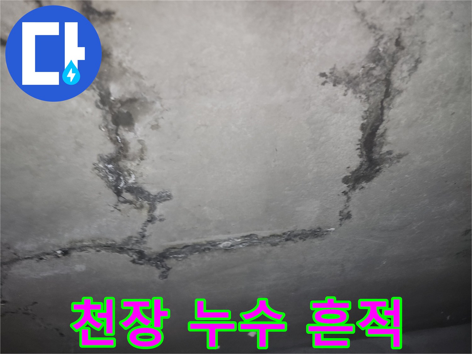 천장 콘크리트 상의 어두운 색상 누수 얼룩